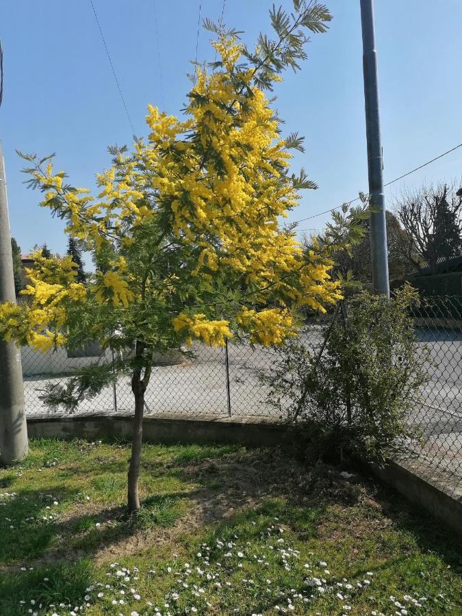 La Birichina Apartment SantʼArcangelo di Romagna Exterior foto